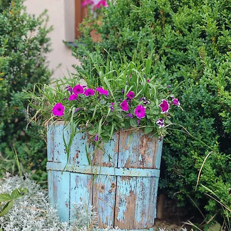 Bed & Breakfast Tri Korunky